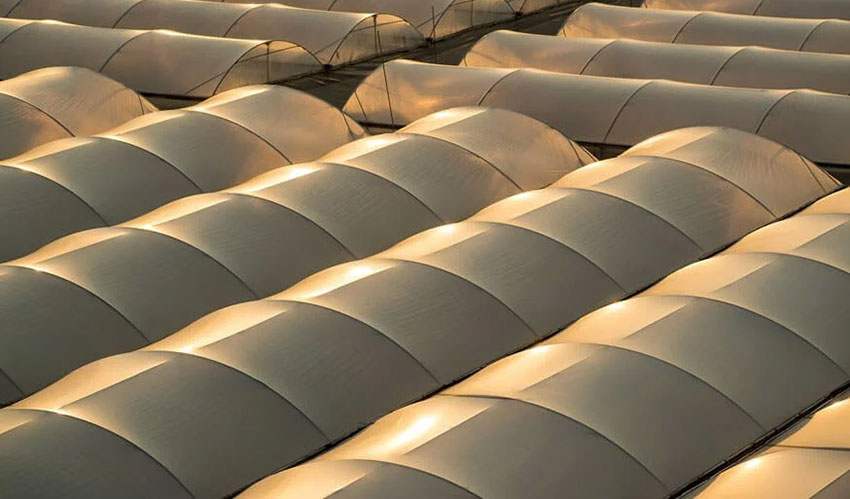 紫外線吸收劑在農(nóng)業(yè)薄膜中的應(yīng)用